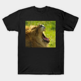 Lion roaring T-Shirt
